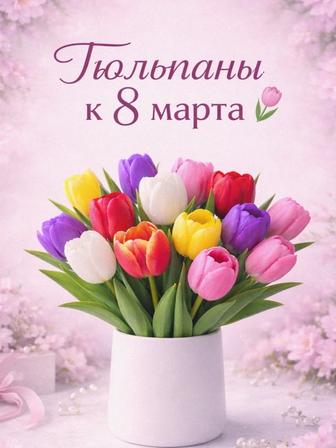 Предзаказ на тюльпаны