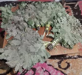 Дубовый веник