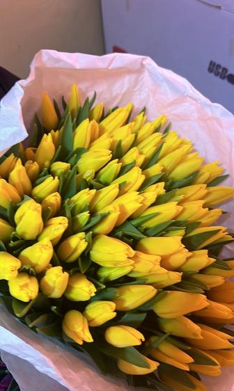 Тюльпаны оптом