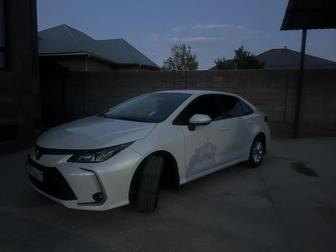 Тойота королла жалға беріледі