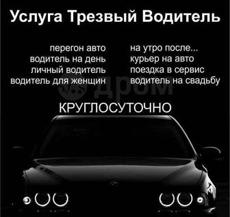 Трезвый водитель