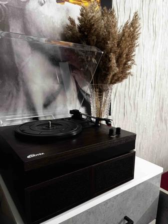 Виниловый проигрыватель Ritmix LP-380B