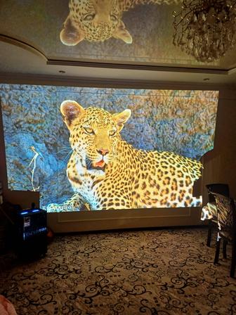 Проектор аренда. Колонка аренда.