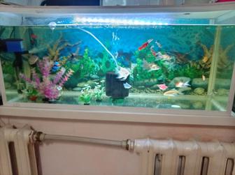 Аквариум