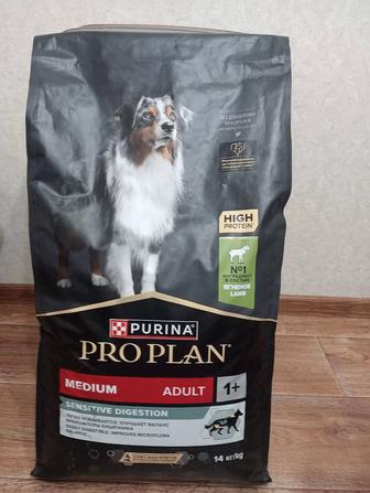 Продам корм proplan, ягнёнок,, для больших и средних пород