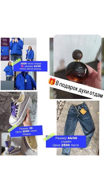 Куртка кроссовки женские