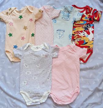 Бодики Carters love