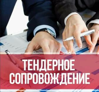 Сопровождение и консультация по тендерам (гос закупки)