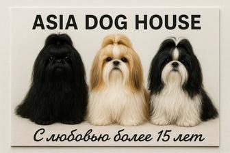 Самые классные комочки радости