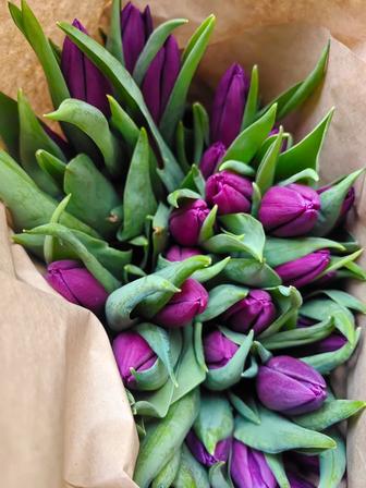 Оптовая продажа голландских тюльпанов к 8 марта!