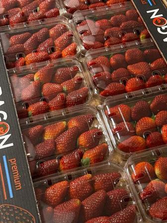 Египетская клубника