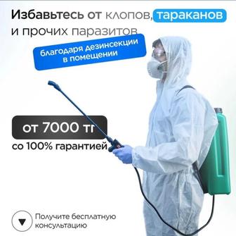 Дизенфекция Тараз