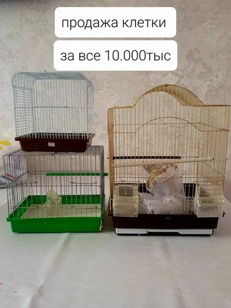 Продаю клетки