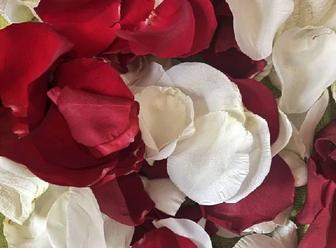 Лепестки роз