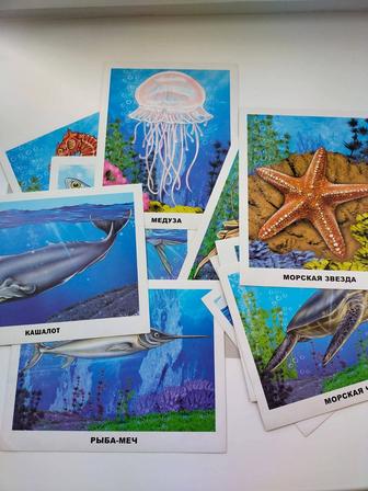 Обитатели морей и океанов. Киты, дельфины, акулы... Набор карточек.