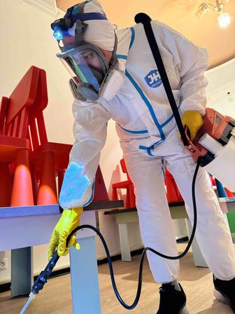 Дезинфекция Дезинсекция Уничтожим клопов, тараканов и мышей за 1 день!