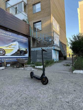 Электросамокат Ninebot KickScooter Max G30P