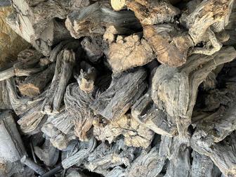 Для дома и сада дрова ( береза и саксаул)