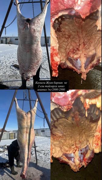 Ет соғым заказ