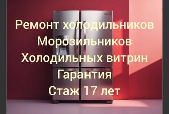Ремонт холодильников с выездом на дом гарантия выезд за пределы