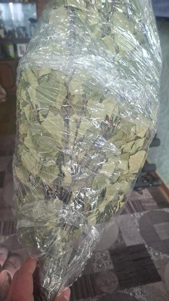 Продам веники банные береза по 1000 тенге