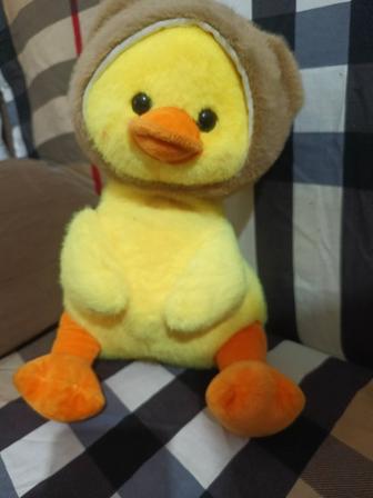 Игрушка