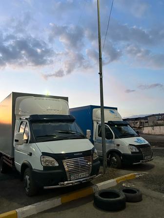 Грузоперевозки