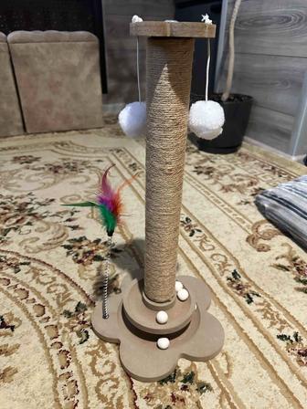 Когтеточка для котенка