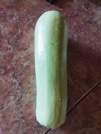Продам домашние кабачки