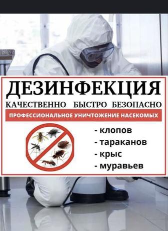 Дезинфекция