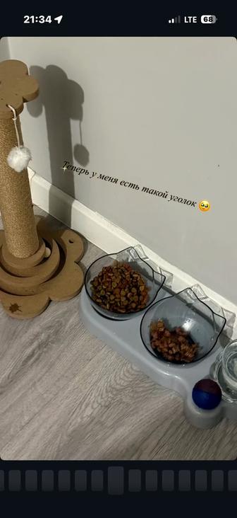 Горшок ,миски,игрушки для кошек