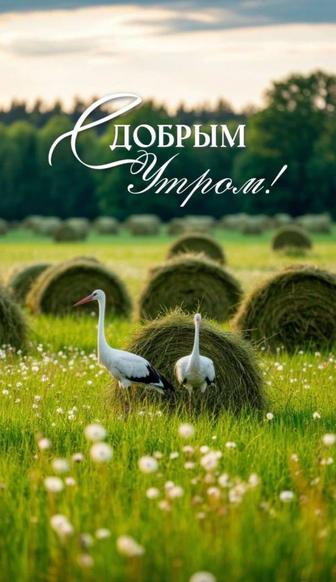 Клининг