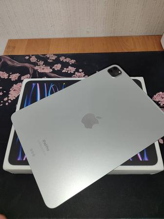 iPad Pro (11дюймовый) (4го поколения) m2