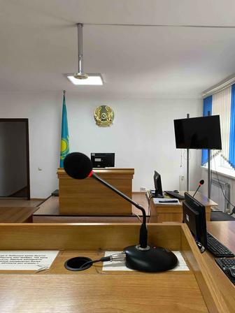 Юридическая помощь, заявление, ИСКИ, процессуальная документирование,