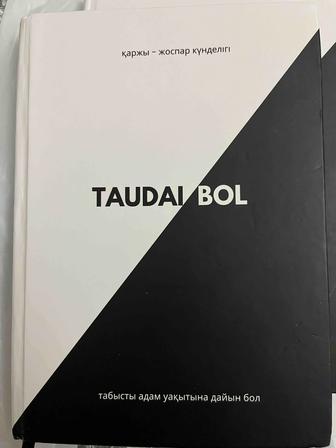 Қаржы-жоспар күнделігі TAUDAI BOL Табыс пен тәртіп