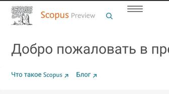 Соавторство тезисы для конференции, статьи (скопус), лекции