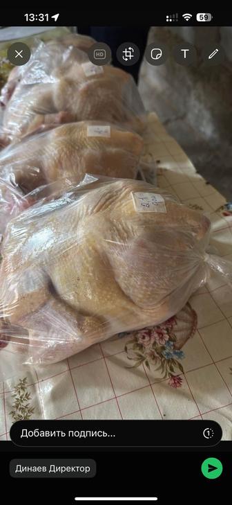 Мясо домашних кур ЭкоБройлеры
