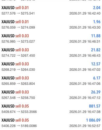 Курс по трейдингу