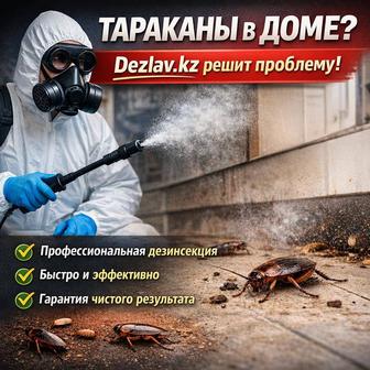 Дезинфекция клоп и тараканов