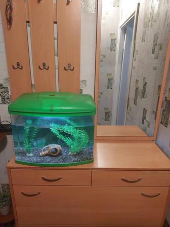 Аквариум 35 л рыбками заводской