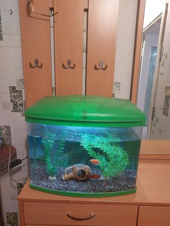 Аквариум 35 л рыбками заводской