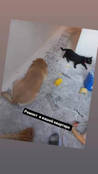 Ремонт квартир,мелкосрочный ремонт .отделочные работы. Муж на час. ДОРОГО