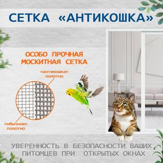 Антикошка москитные сетки за 1 день!