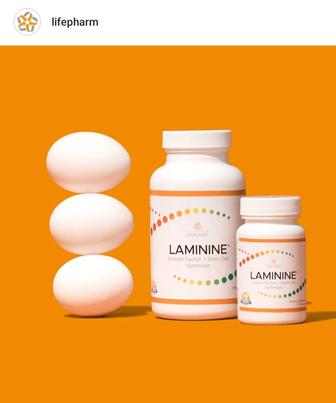 Ламинин, 120/Laminine оригинал LifePharm Global, США