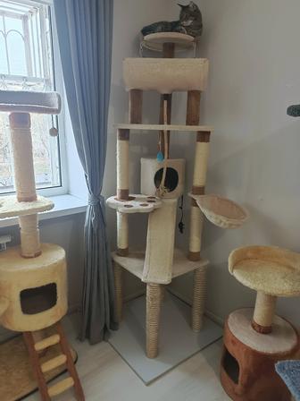 Продам когтеточки