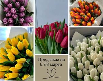 Тюльпаны Усть-Каменогорск