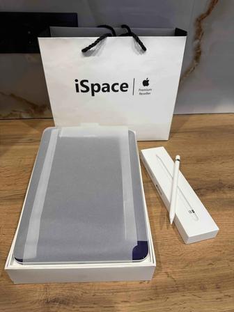 iPad 10 256GB Wi-Fi Apple Pencil UAG чехол Идеальное состояние