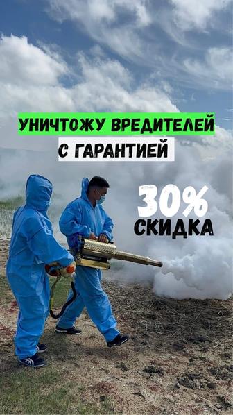 Дезинфекция с Гарантией