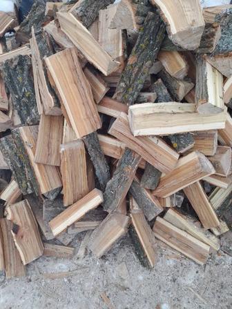 Колотые дрова микс в перемешку (карагач,береза, клен, абрикос, тополь и др)
