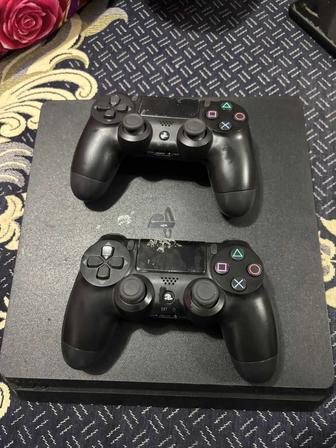 Плестейшин 4